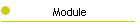 Module